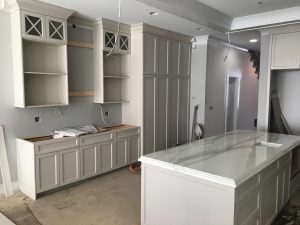 Chicago Kitchen Renovation